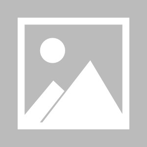 亚博-TEAMtalk：巴黎加入阿尔瓦雷斯争夺战，恩里克视其为理想引援人选